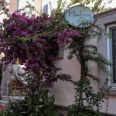 Moshinos Готель Айвалик