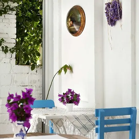 Готель Moshinos *