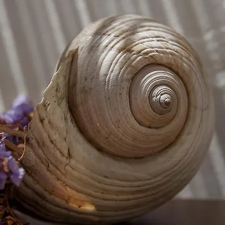 Moshinos Айвалик