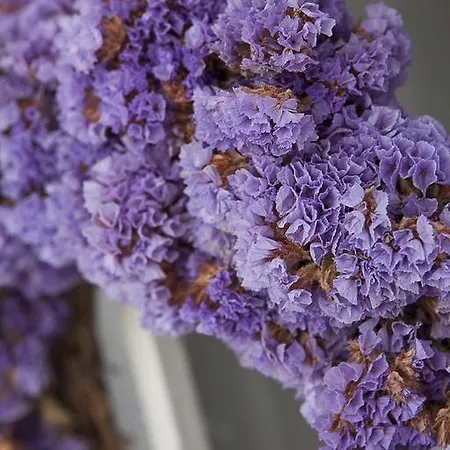 Moshinos Готель Айвалик