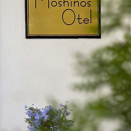 Moshinos Готель