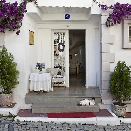 Готель Moshinos Айвалик