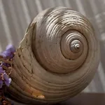 Moshinos Ayvalı