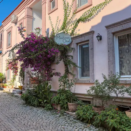 Ξενοδοχείο Moshinos *