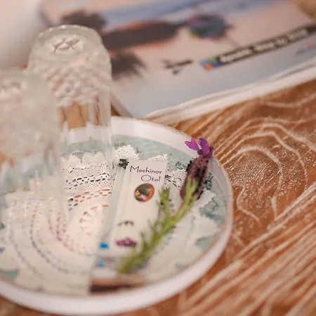 Ξενοδοχείο Moshinos Ayvalı