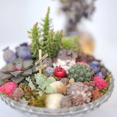 Hotel Moshinos Ayvalı