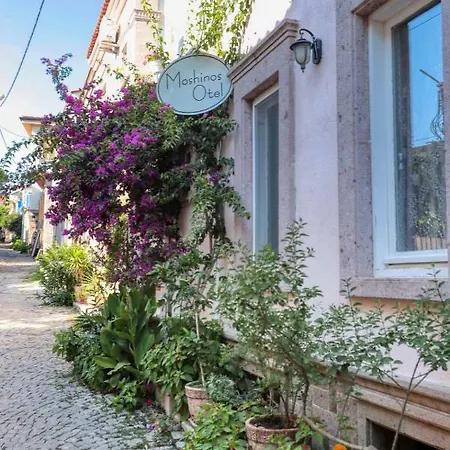 Moshinos Ayvalı