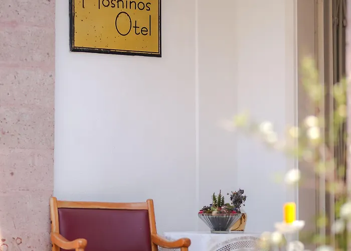 Ξενοδοχείο Moshinos Ayvalı