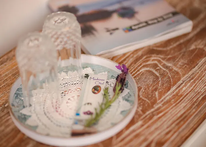 Ξενοδοχείο Moshinos Ayvalı