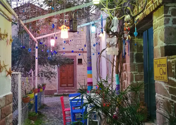 莫希诺斯酒店 *