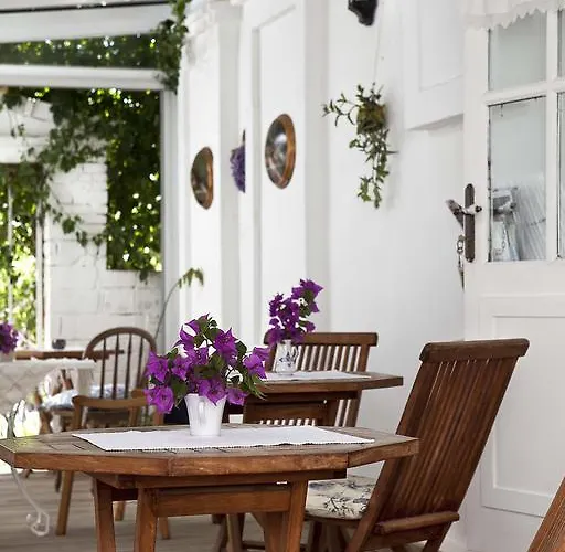 酒店 莫希诺斯酒店