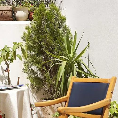 莫希诺斯酒店 酒店 *