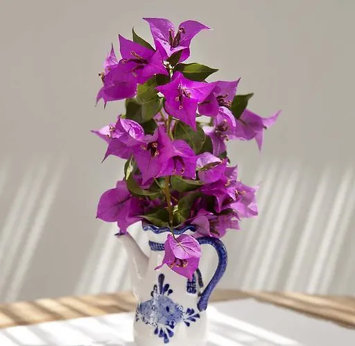 酒店 莫希诺斯酒店 Ayvalı