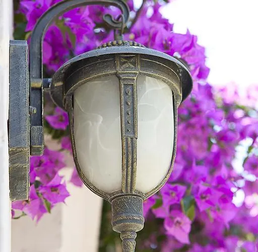 莫希诺斯酒店 酒店