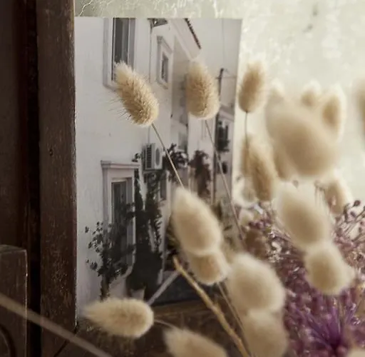 莫希诺斯酒店 *