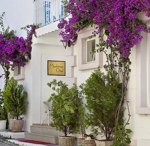 Ξενοδοχείο Moshinos Ayvalı