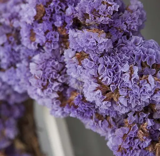 Moshinos Ξενοδοχείο Ayvalı