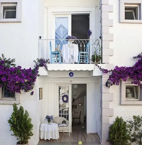 莫希诺斯酒店 *