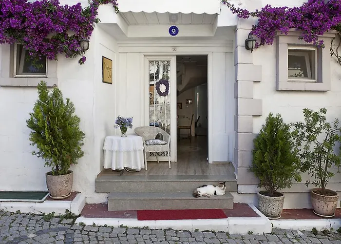 Hotel Moshinos Ayvalik