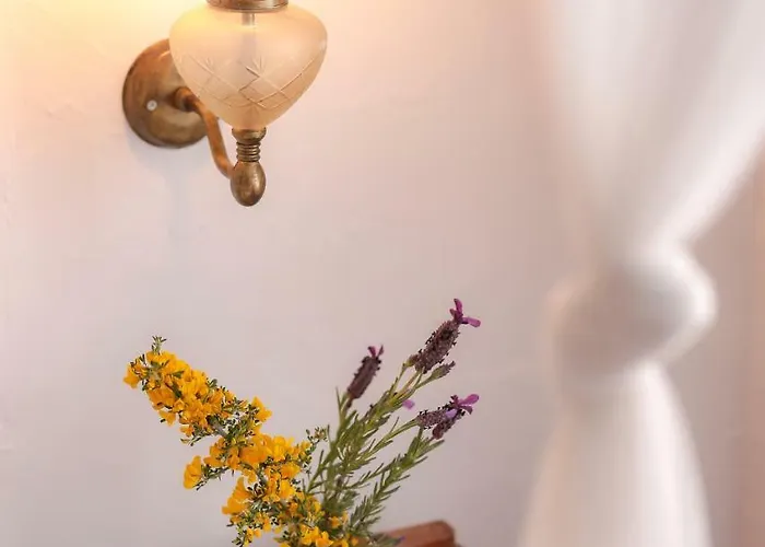 莫希诺斯酒店 酒店 *