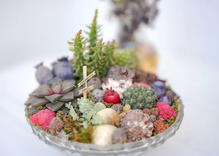 Ξενοδοχείο Moshinos Ayvalı